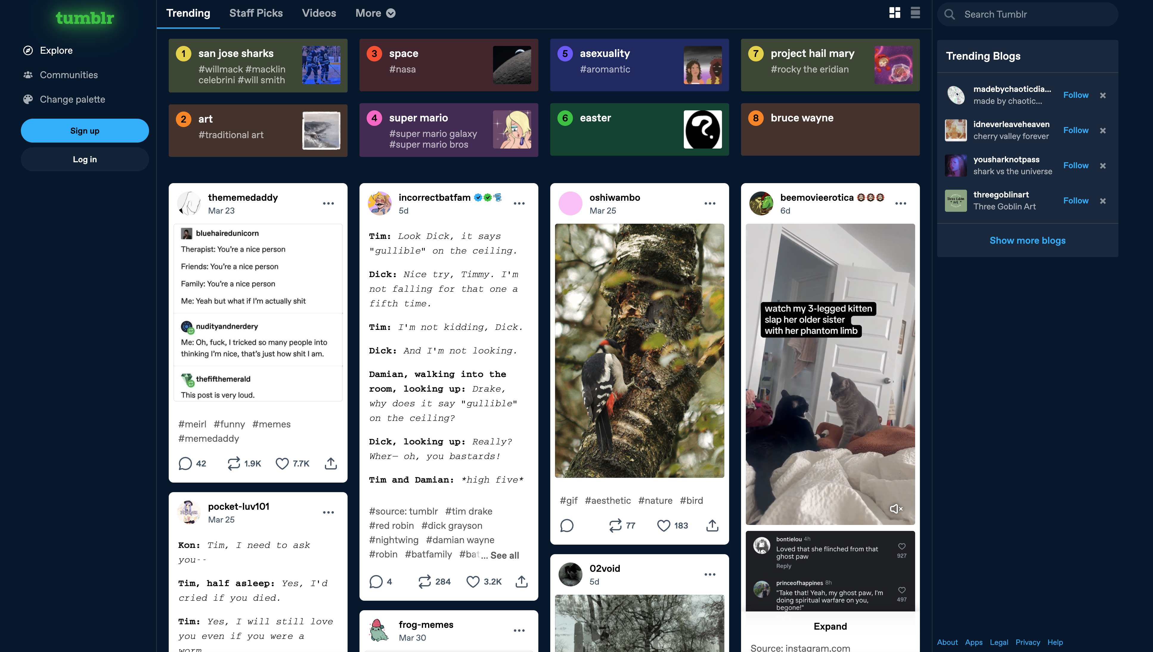 Tumblr website screenshot